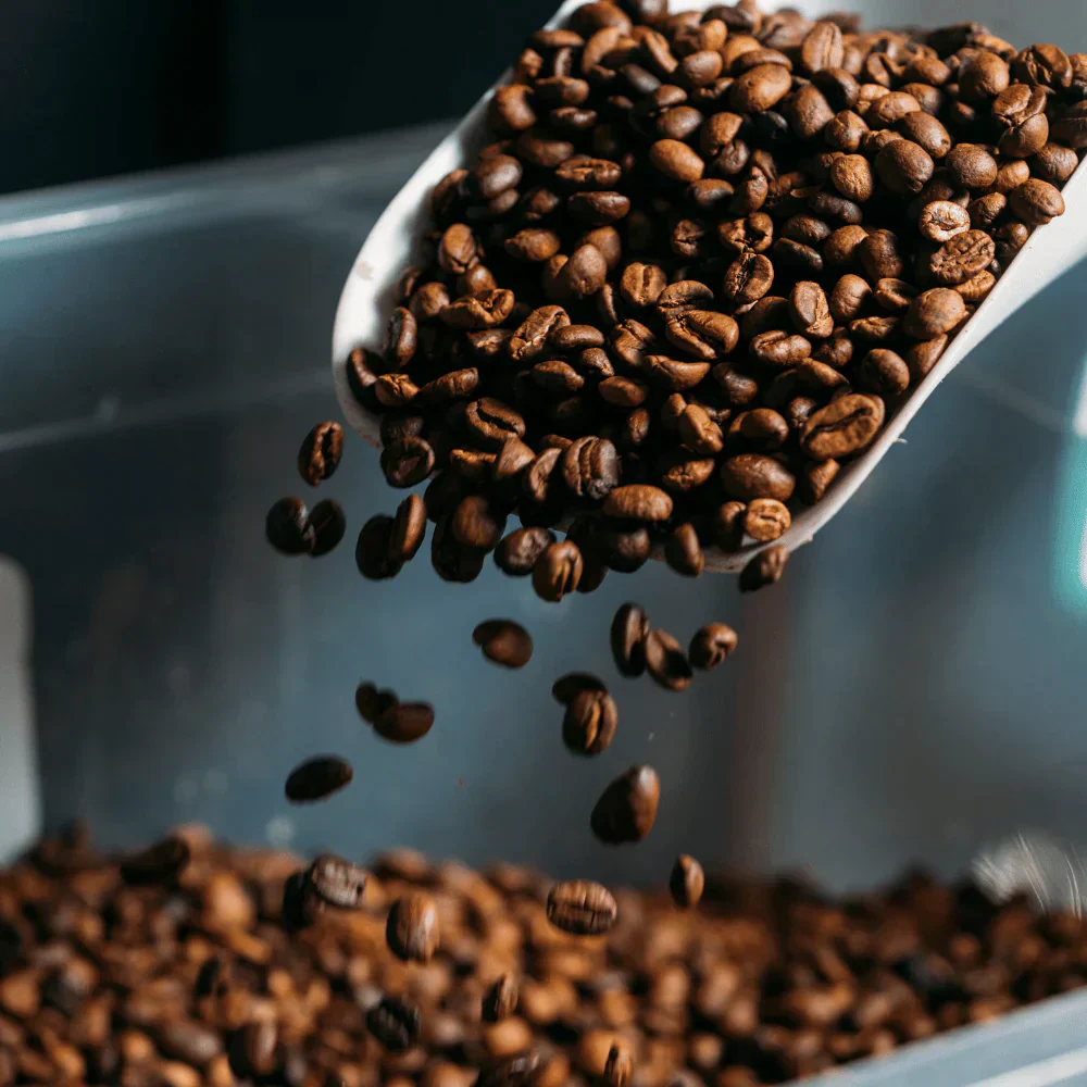 Specialty coffee importer