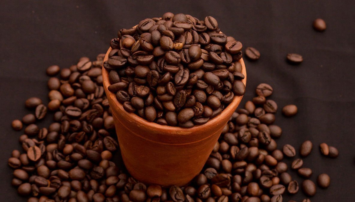 The best Arabica coffee for coffee shops