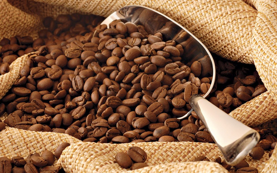 The best Brazilian Arabica coffee for espresso and brewed coffee