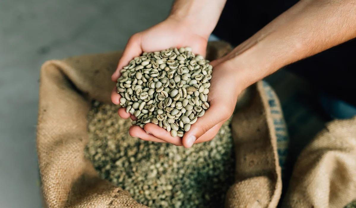 The best green Arabica beans for coffee roasters