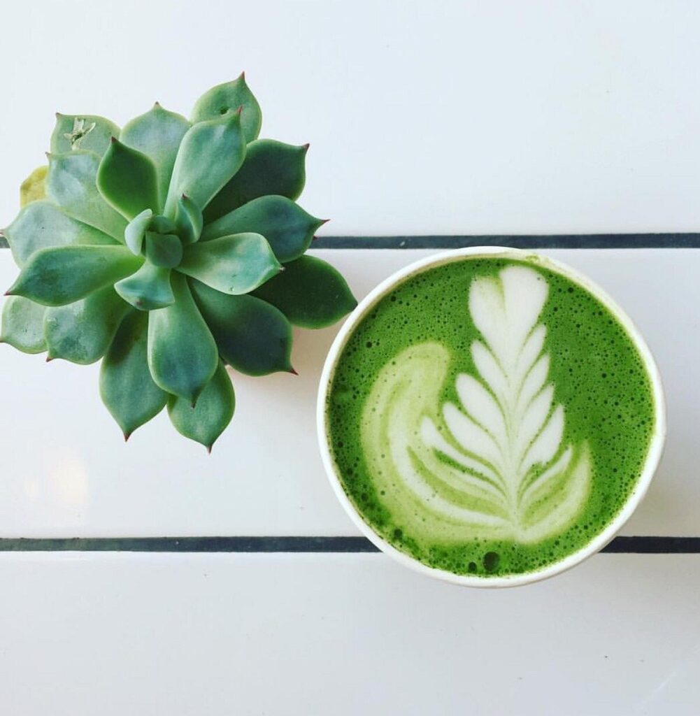 The best green coffee for coffee shops