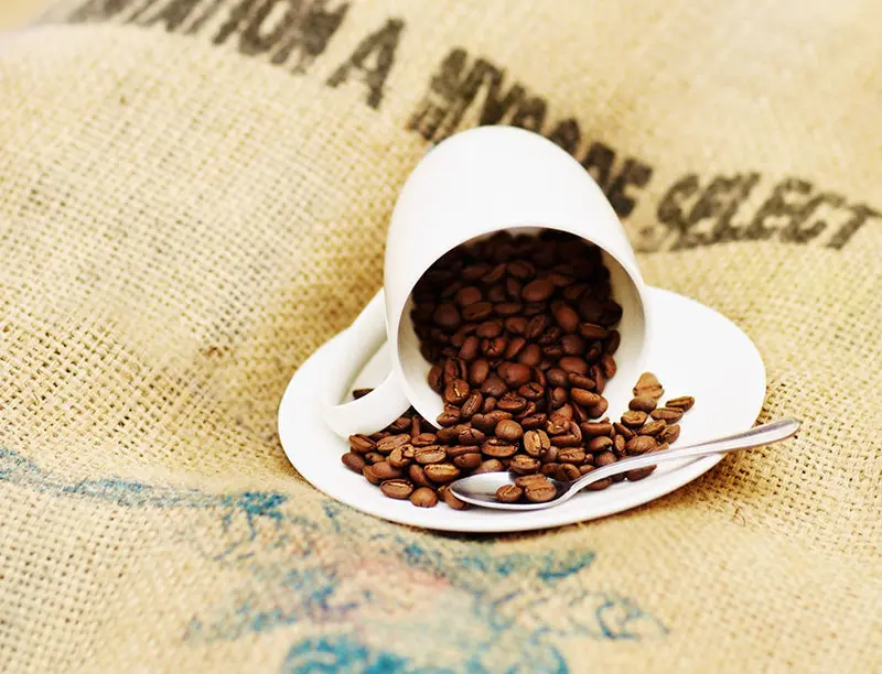 The difference between Cerrado Specialty coffee and Commercial Grade