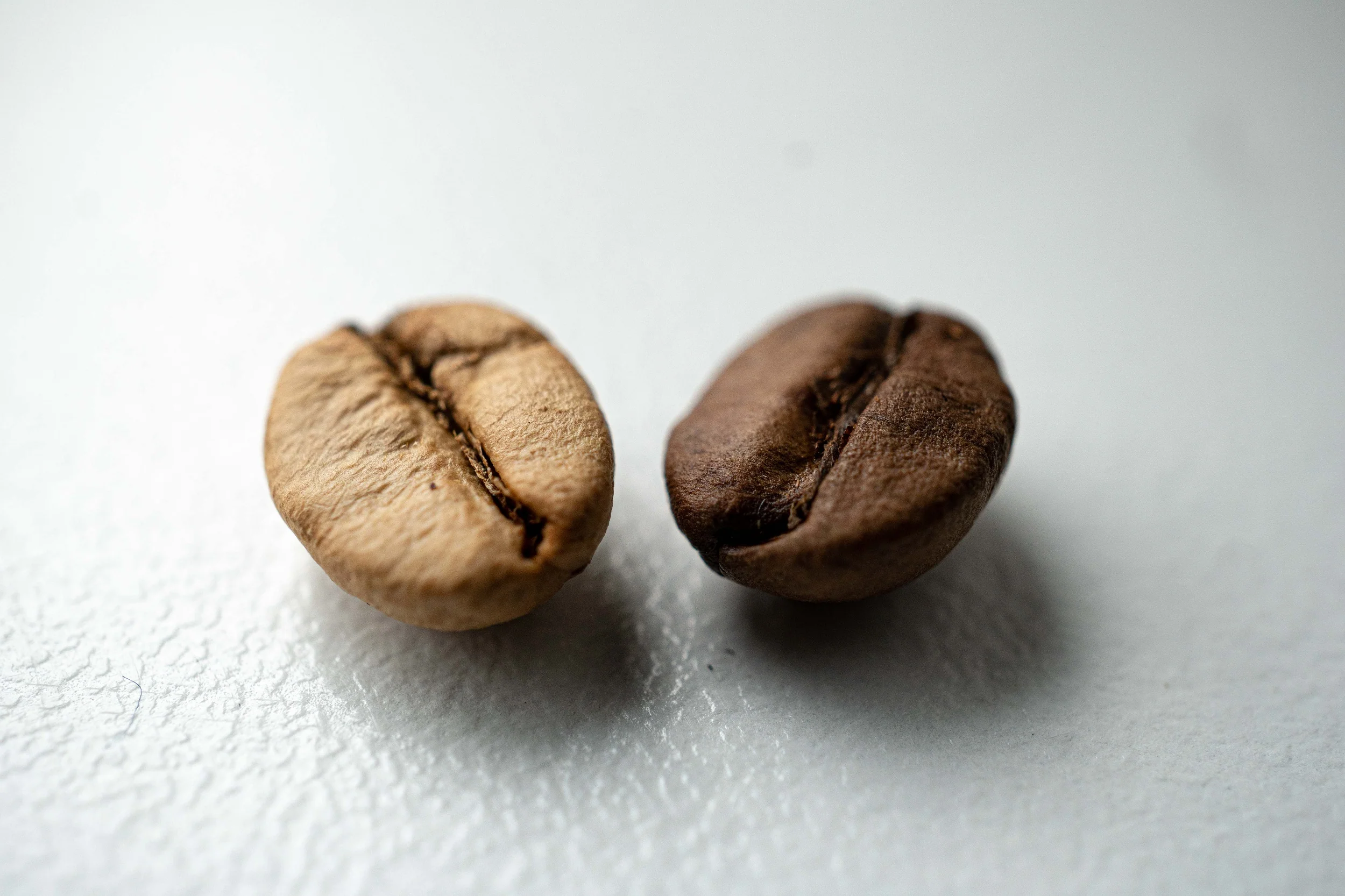 The difference between Cerrado Specialty coffee and Commercial Grade