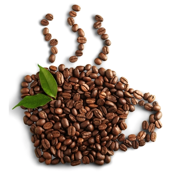 The difference between green Arabica and Robusta beans