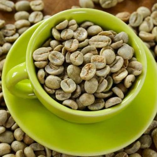 Vietnam green coffee bean price today