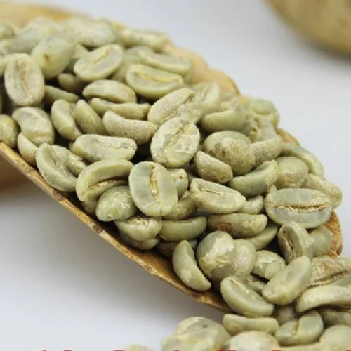 Vietnam green coffee bean price today