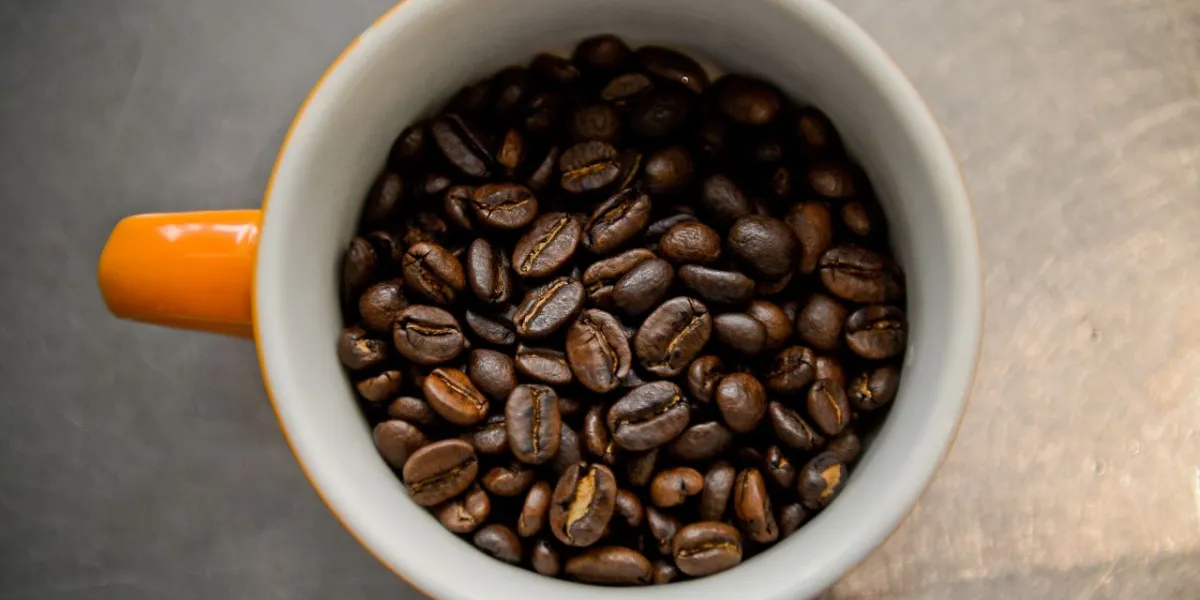 What is the difference between African Bugisu coffee and Brazilian coffee?