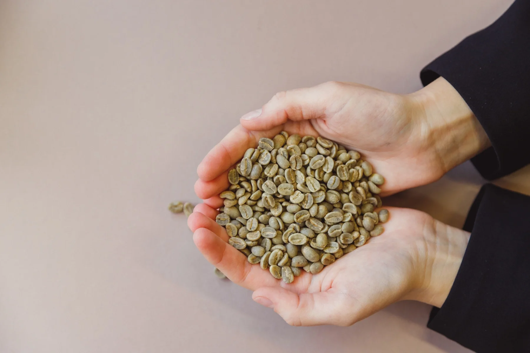 Wholesale Ugandan Green Coffee
