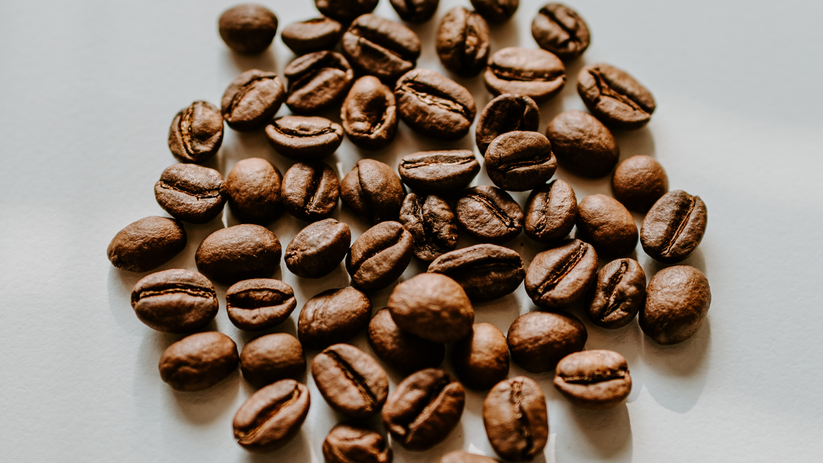 Wholesale of Arabica and Robusta coffee