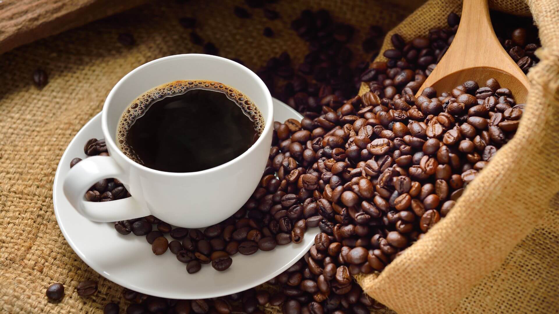 Wholesale purchase of Brazilian Arabica coffee Santos Fine Cup