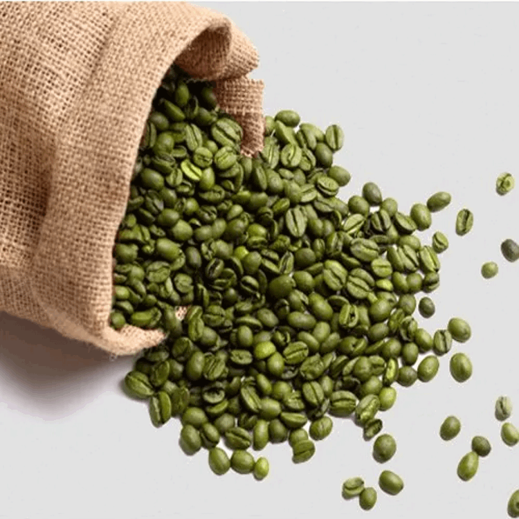Wholesale purchase of Uganda Bugisu green coffee with export quality
