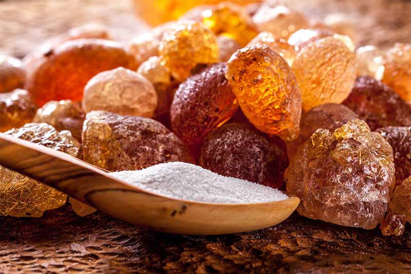 Tragacanth Gum