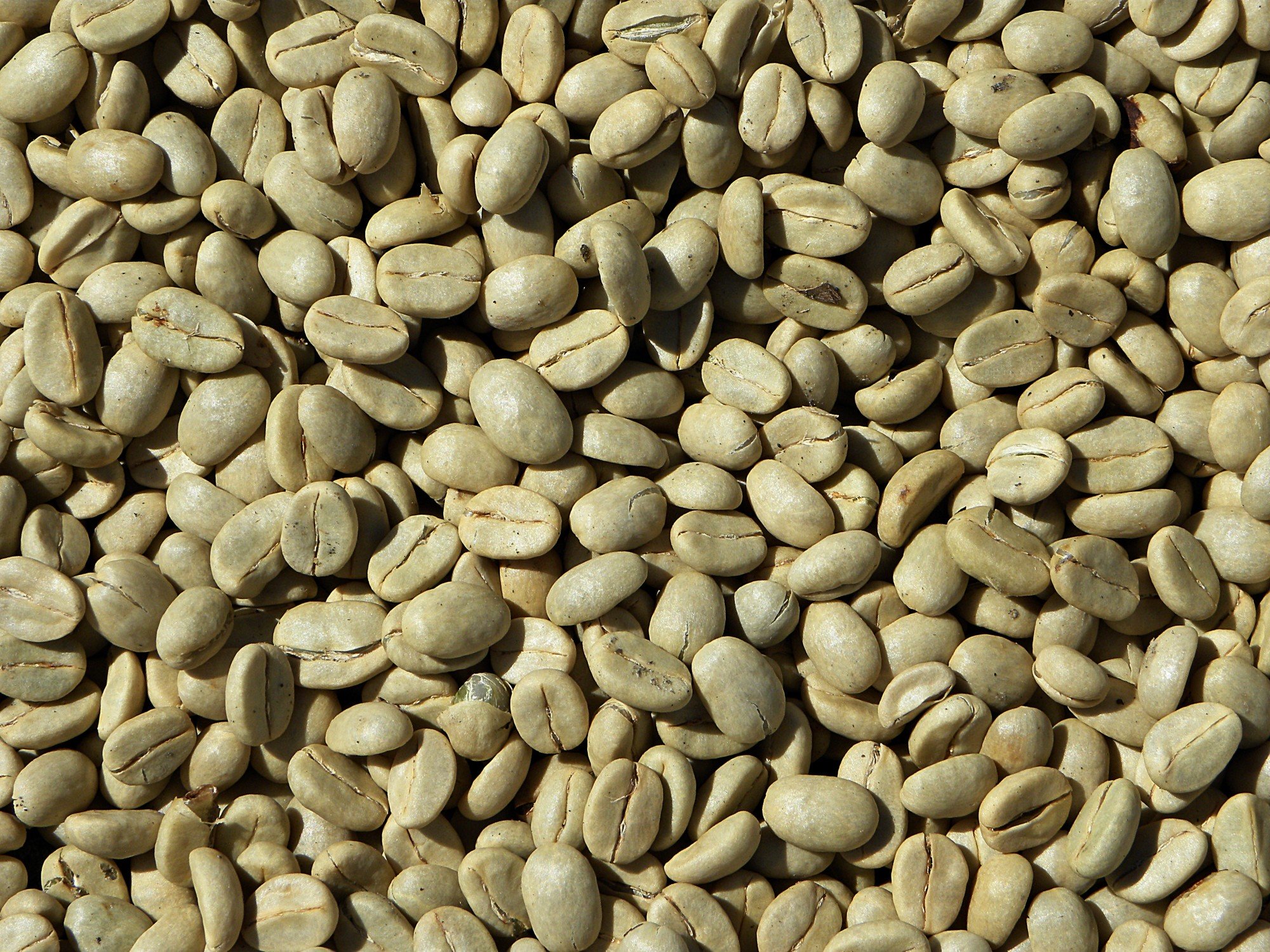 Brazilian green coffee