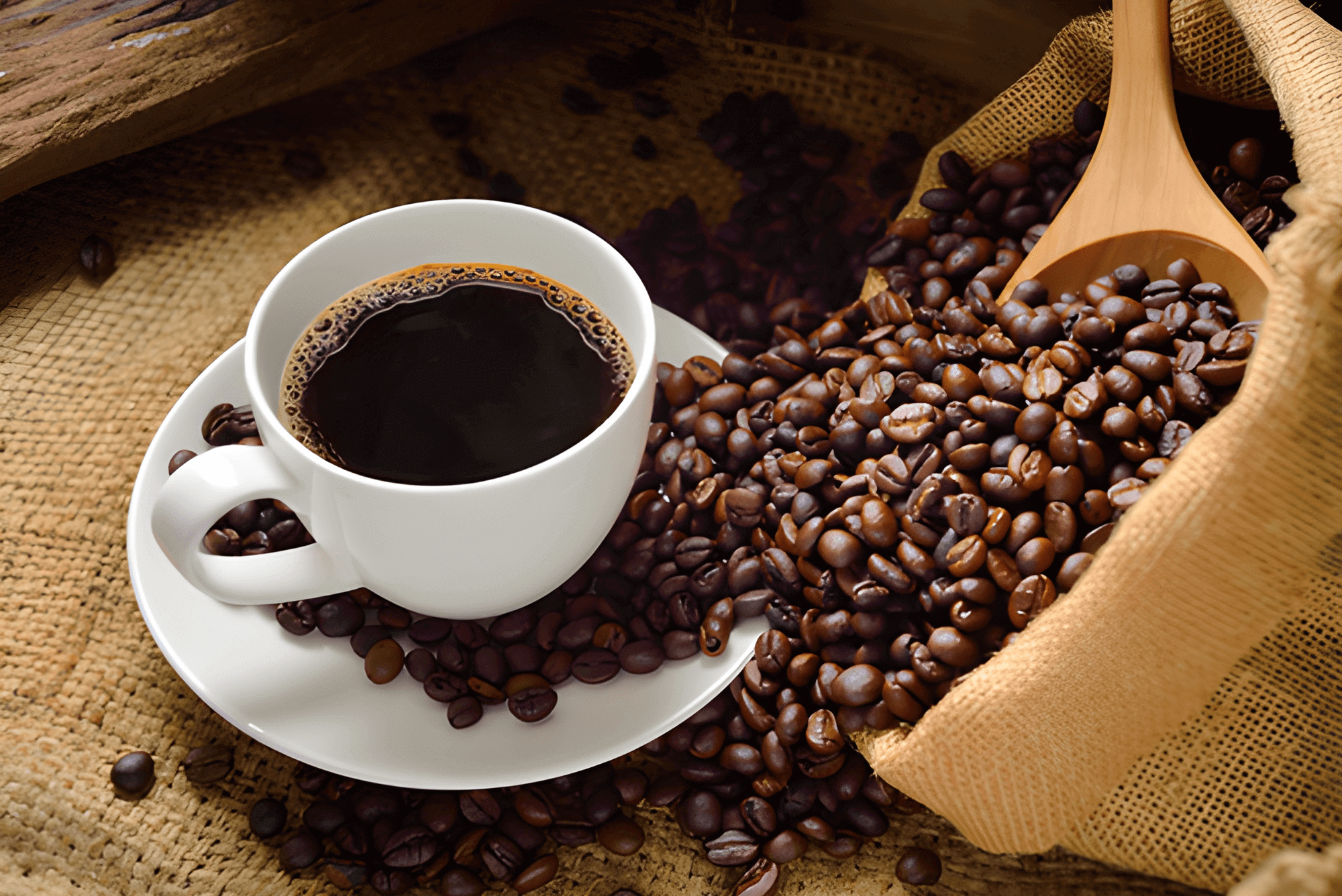 Brazilian Arabica coffee