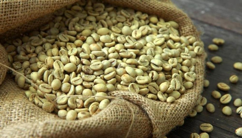Green coffee Arabica Uganda Bugisu