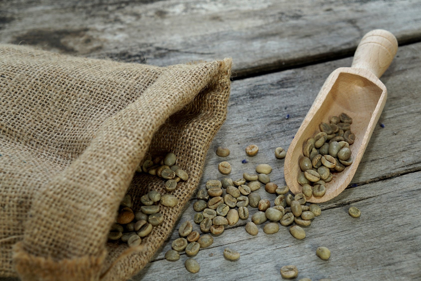 Indonesian Robusta Green Coffee