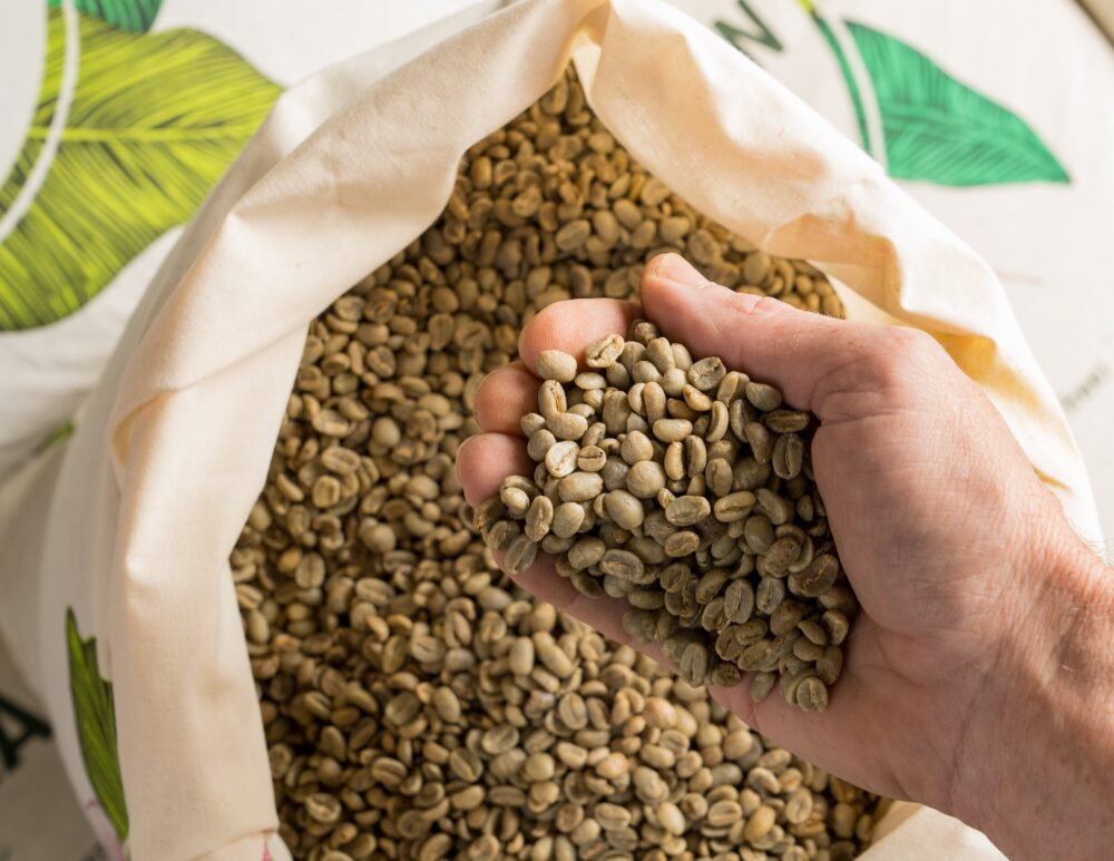 Green Arabica coffee