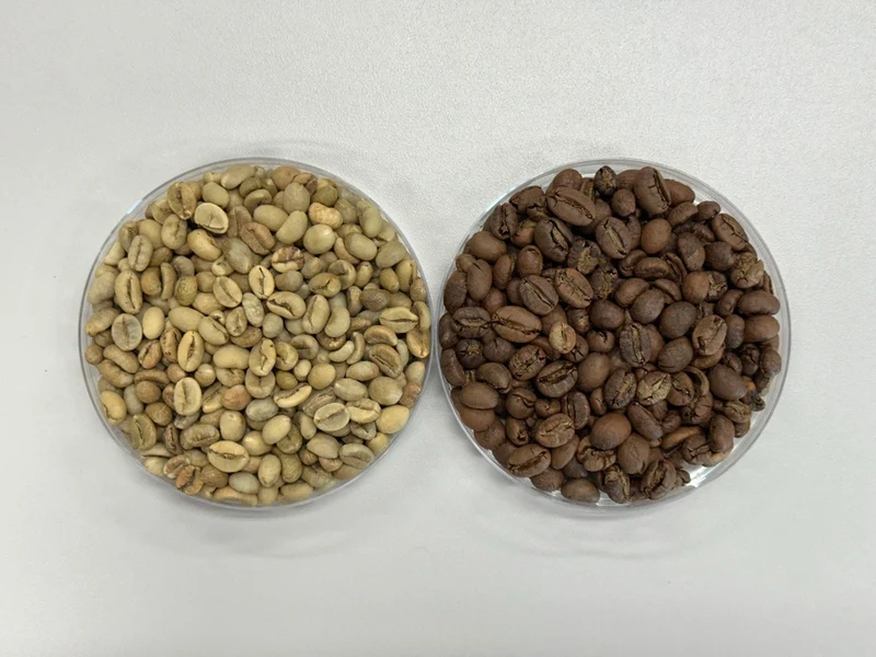 Mexican Robusta Green Coffee