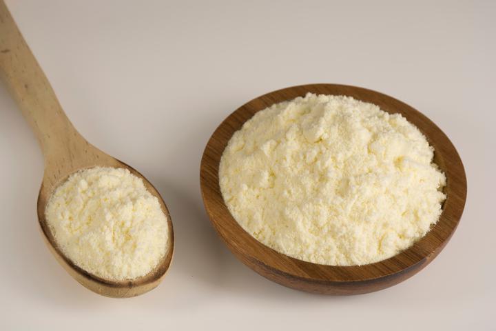 Dairy Phospholipid Powder