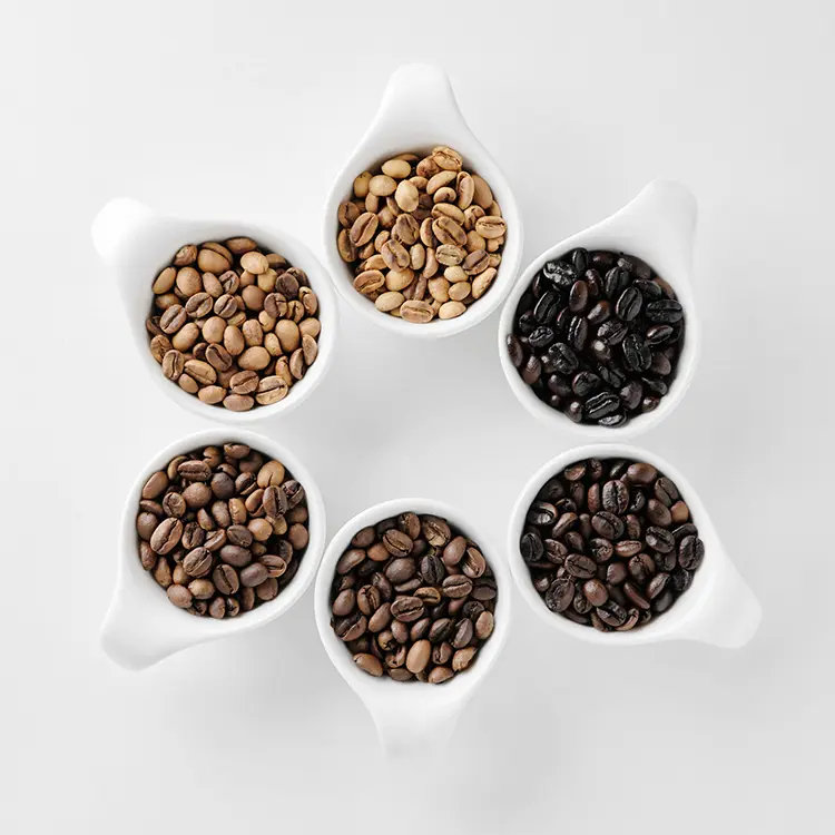 The effect of roast type on coffee flavor