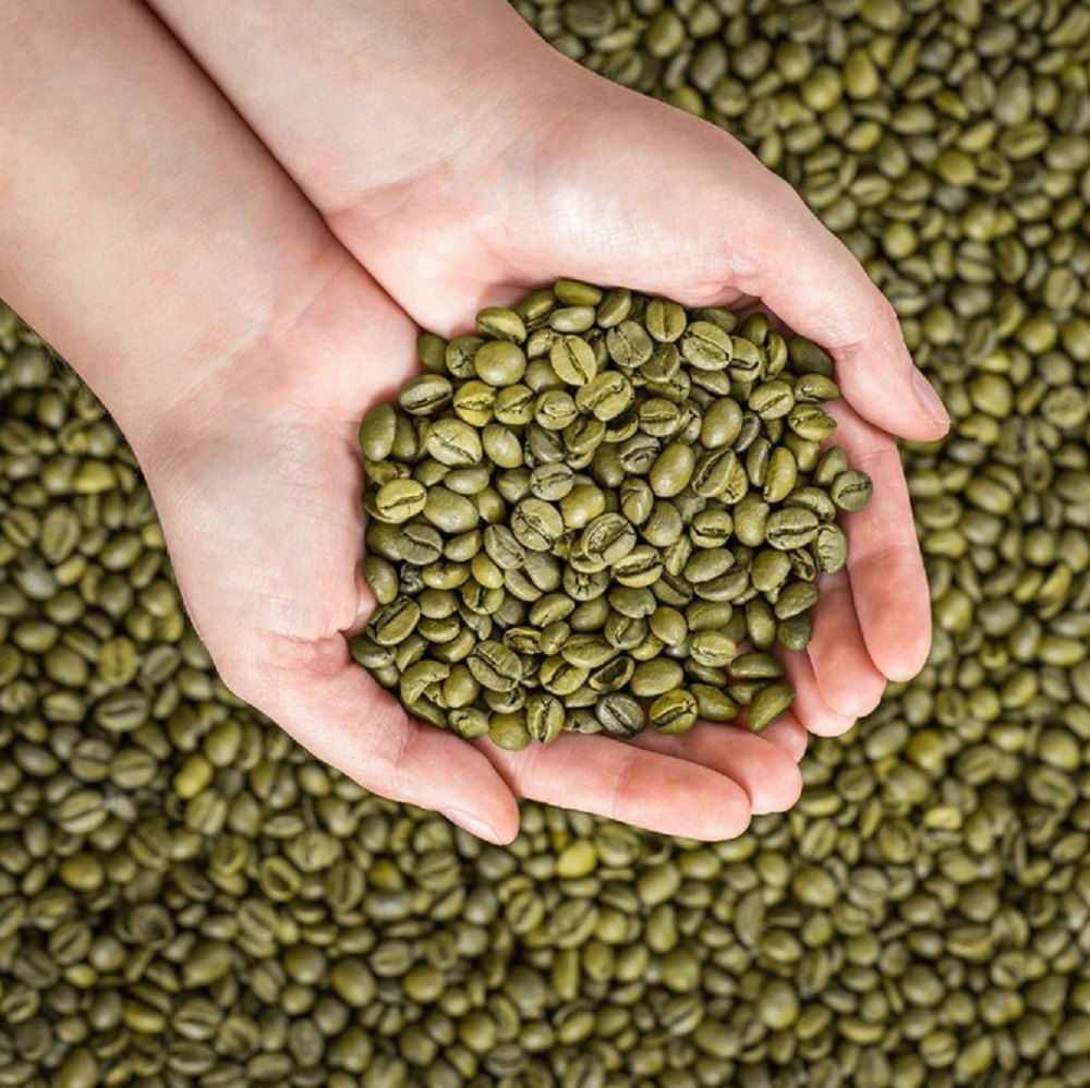 Green Arabica coffee