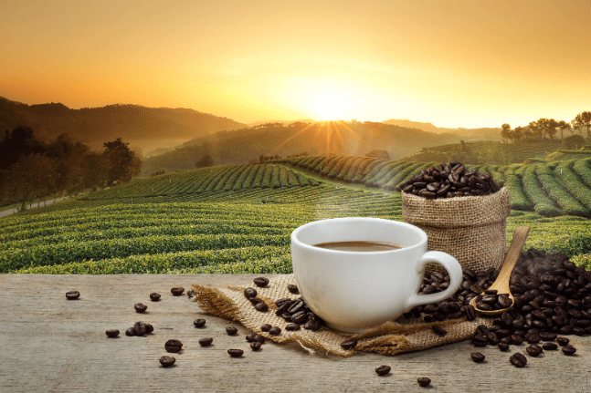 Coffee