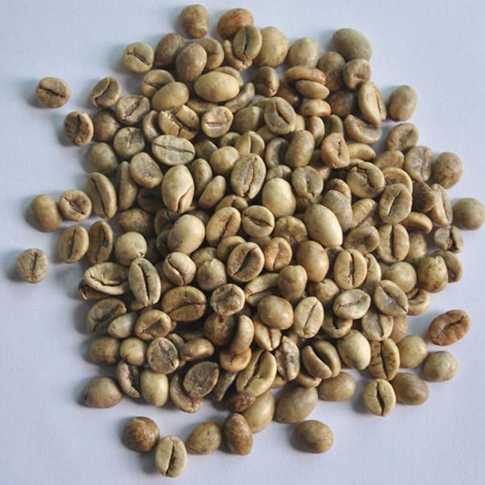 Vietnam Robusta Green Coffee