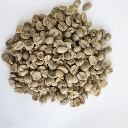 Green Arabica coffee
