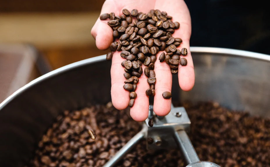 Fazenda Coffee