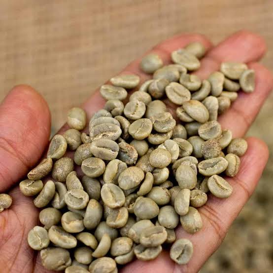 Robusta green coffee