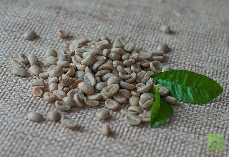 Decaffeinated Arabica Green Coffee