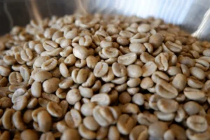 Best green coffee beans for wholesale purchase