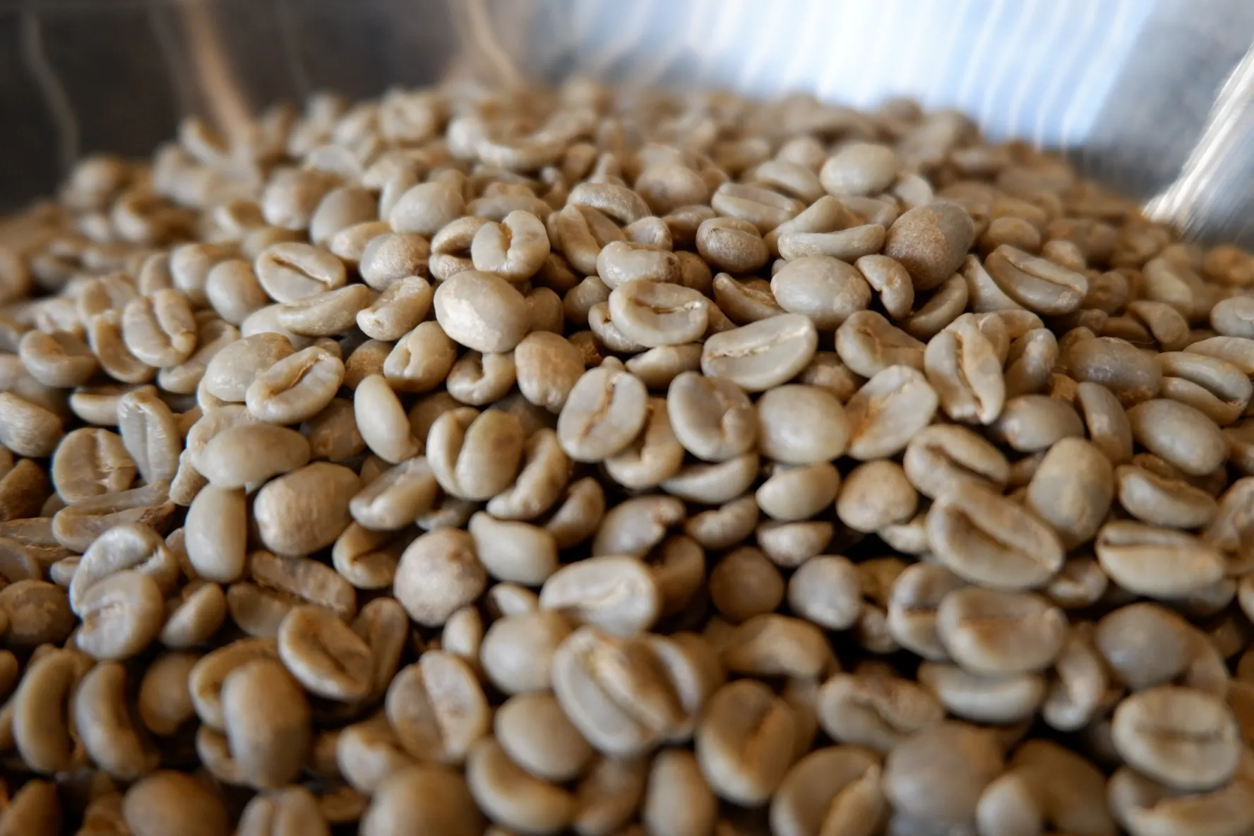 Best green coffee beans for wholesale purchase