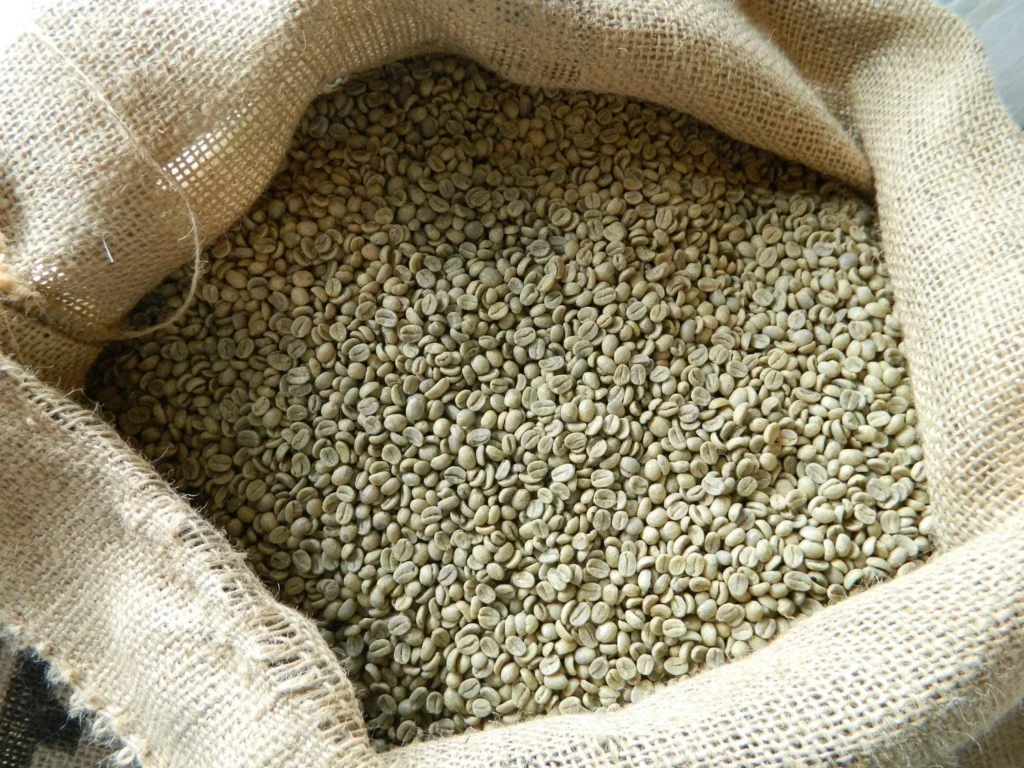 Supply of Salvadoran Arabica green coffee