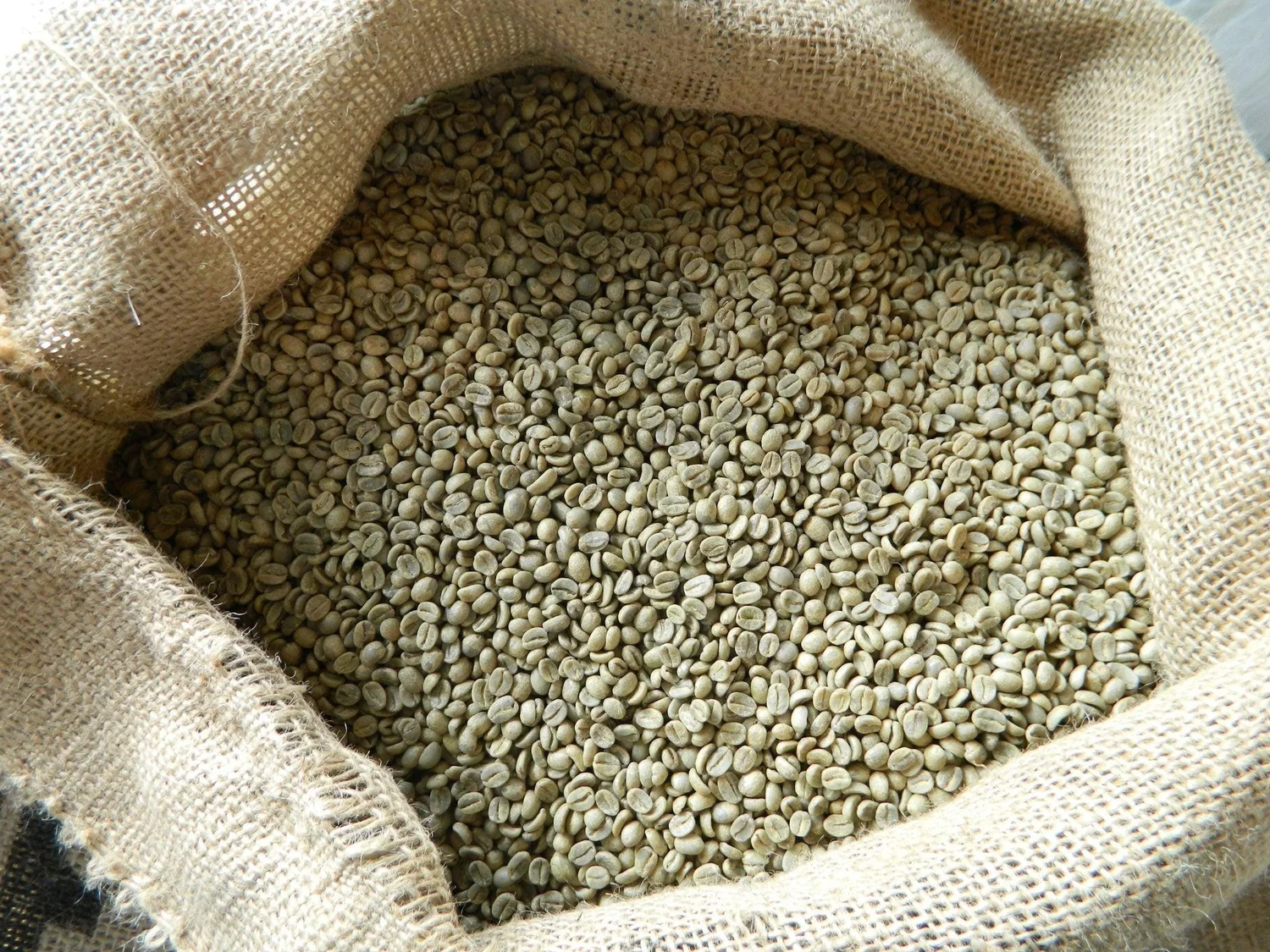 Supply of Salvadoran Arabica green coffee