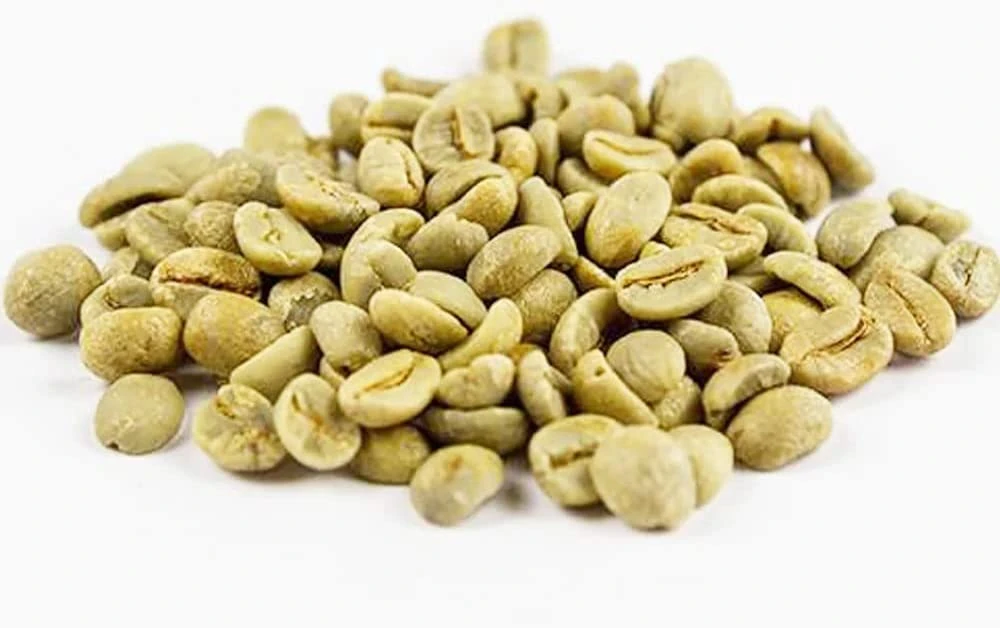 Global price of green coffee beans