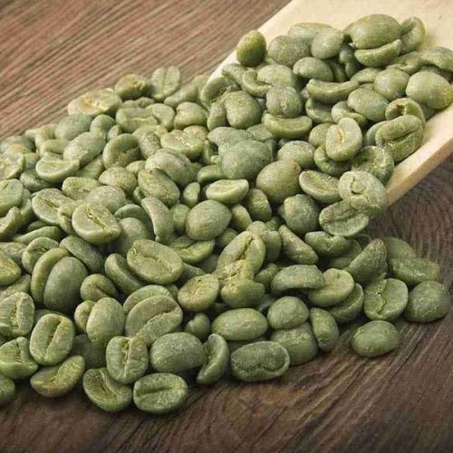 Vietnamese Robusta PB Green Coffee