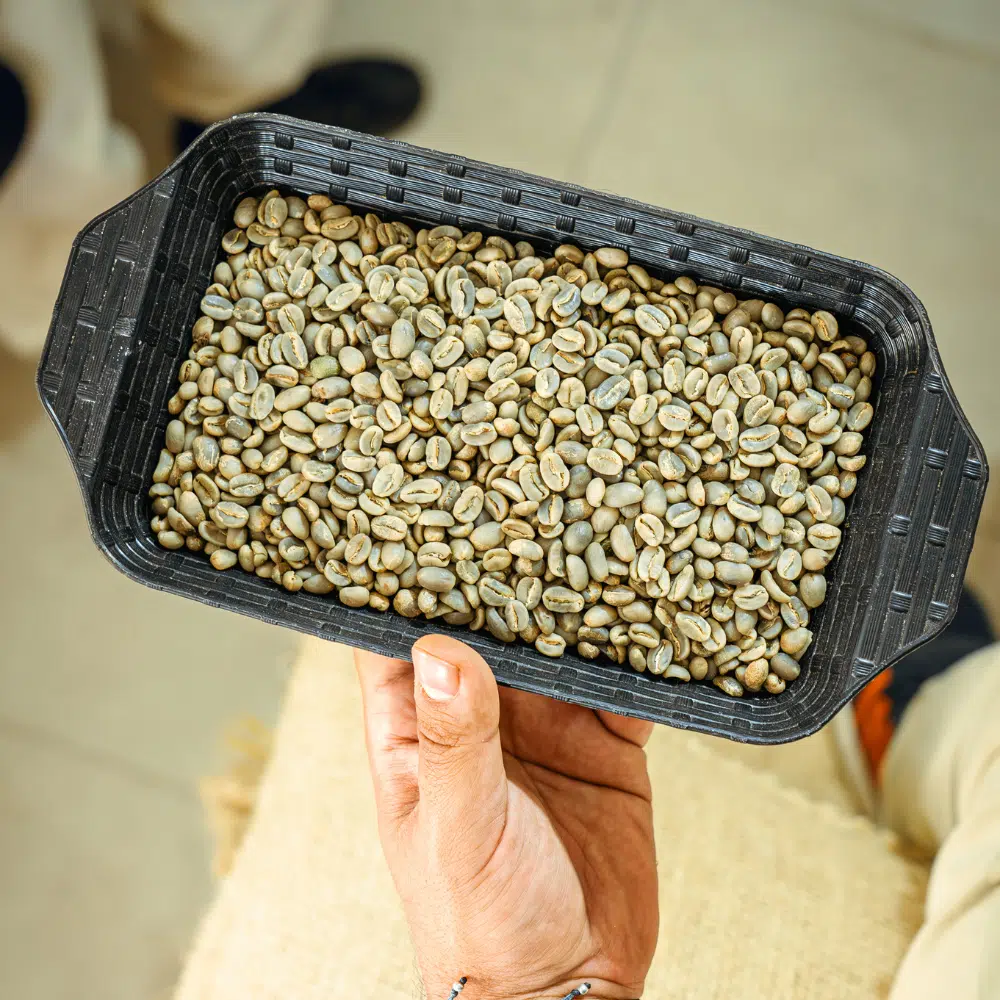 Price of raw coffee beans per kilogram