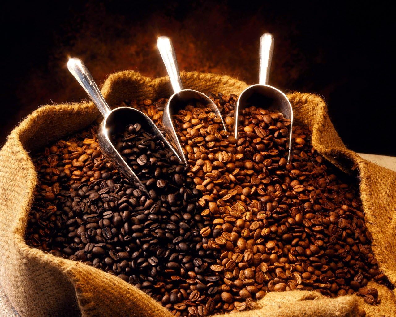 The difference between Supremo 17/18 and Supremo 18 Colombian coffee