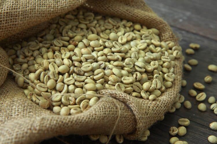 Green coffee bean price today