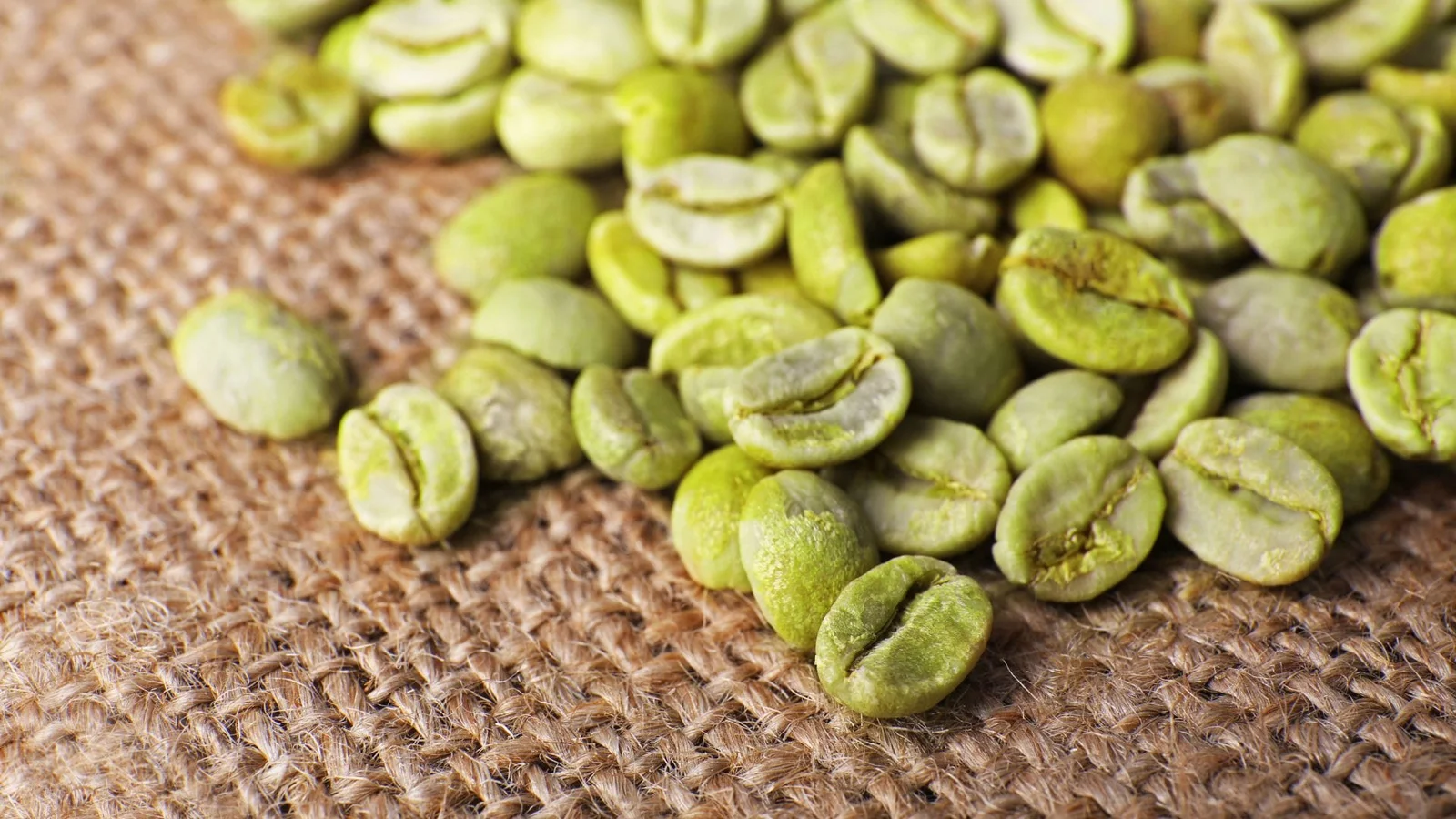 Guide to Buying Green Coffee Beans Wholesale