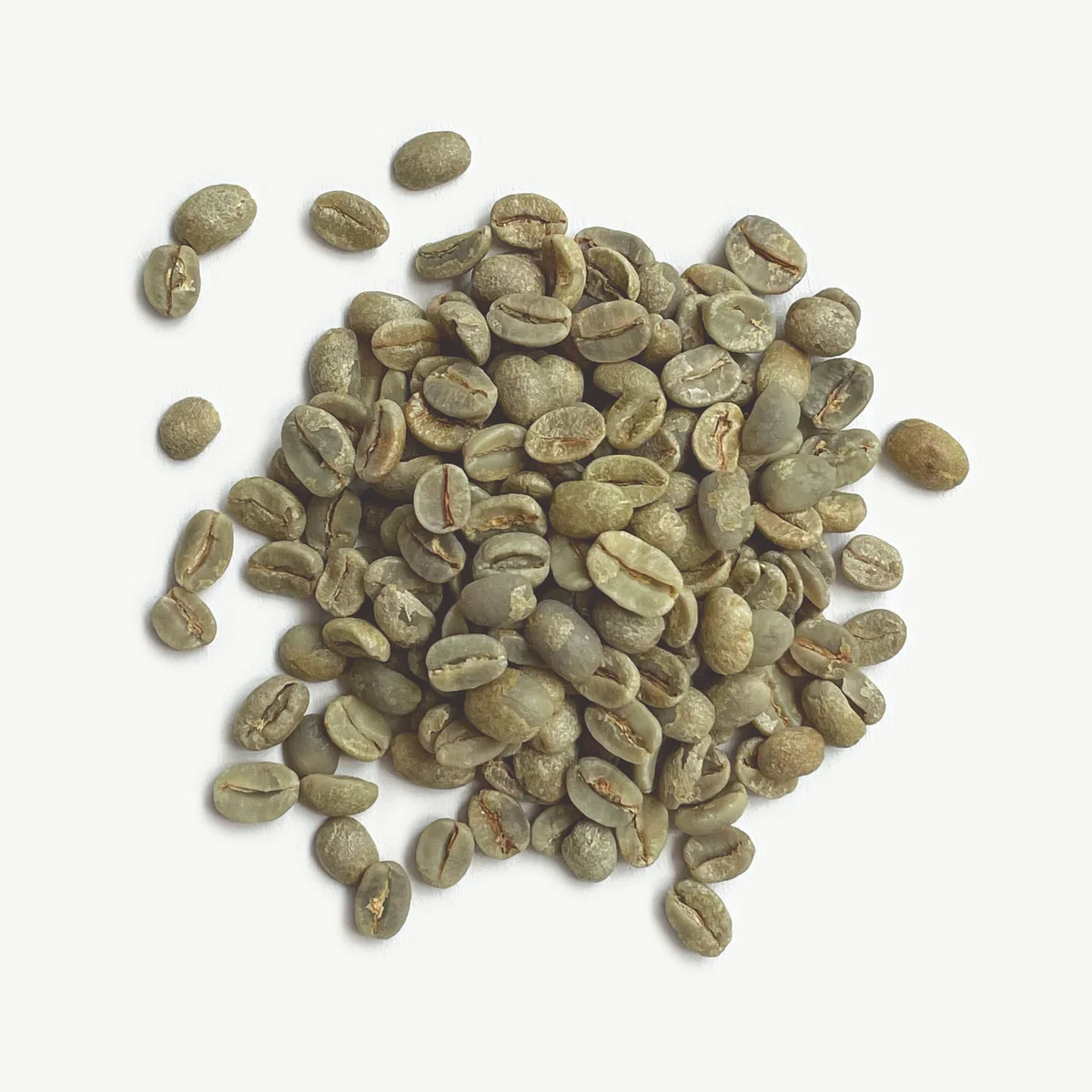 Brazil Santos 17/18 Coffee