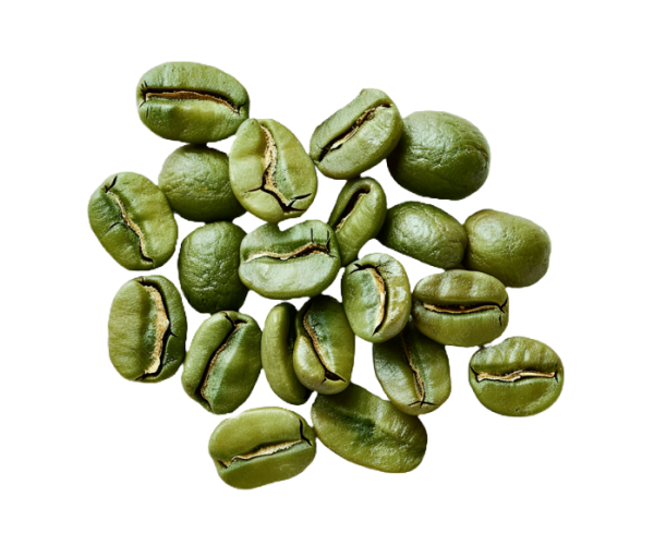 Sourcing Brazilian Arabica Green Coffee (Rio Minas, Screen 17/18)