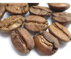 Brazil Santos 17/18 Coffee
