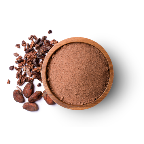 Cocoa powder for dairy applications