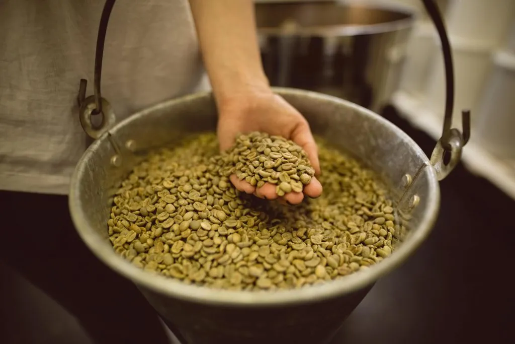 Green coffee bean supplier for roasteries