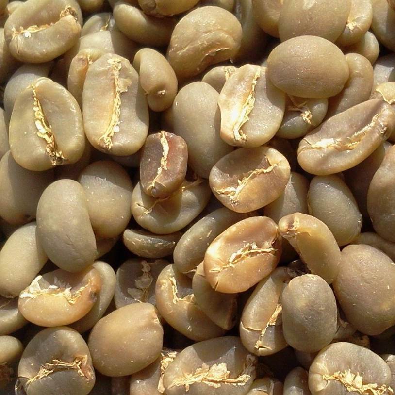Wholesale of raw coffee beans