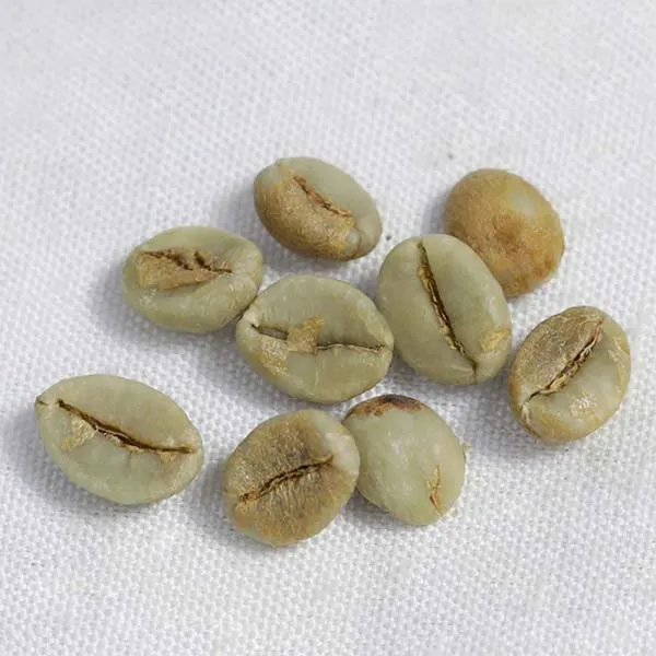 Price of one ton of green coffee beans