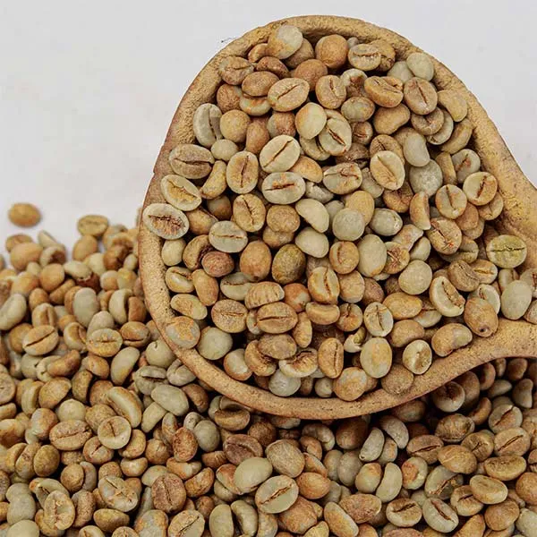Buying Congo Robusta Green Coffee