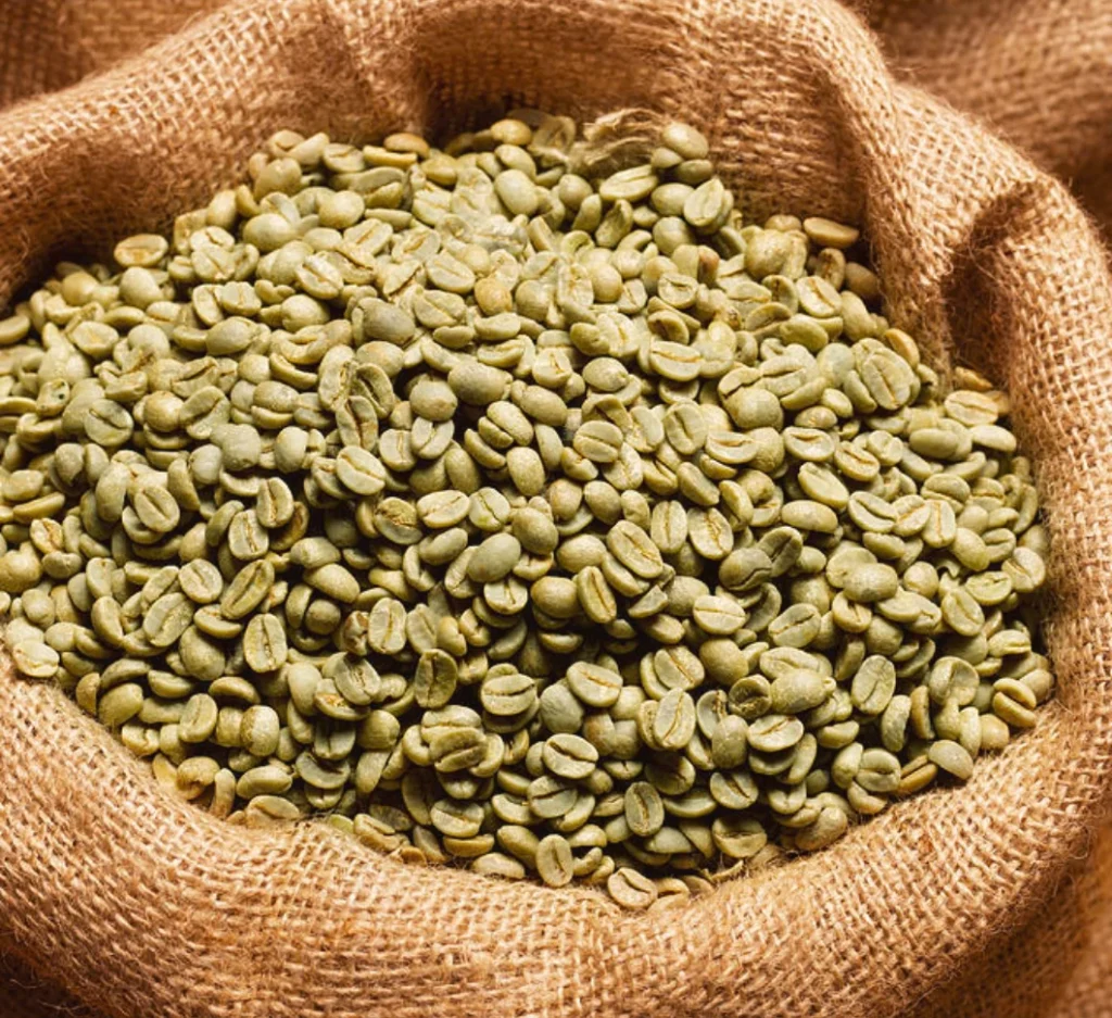 Green Robusta coffee